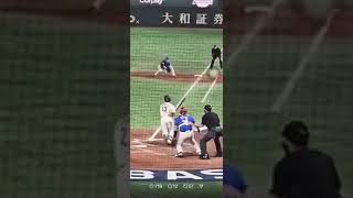 再見雙殺中華隊完封日本奪冠-熱門-wbc-棒球