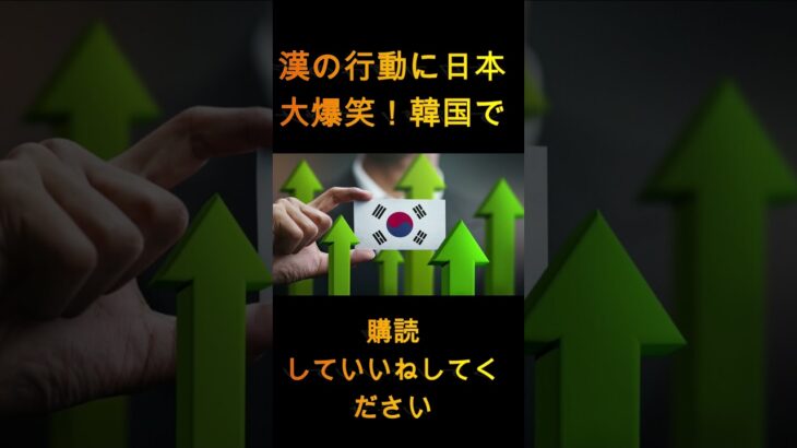 【ゆっくり解説】ハンの行動に日本が爆笑！「こいつバカすぎる」韓国大パニックｗ … 1