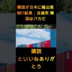 韓国が日本に輸出規制を課す！？結果：自滅ｗｗｗ韓国はバカで惨めｗｗｗ【ゆっくり解説】…. 1