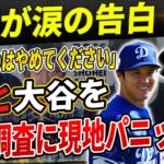 🔴「私と大谷を比べるのはやめてください」1166億円男ソトが涙の告白！大谷翔平がカナダを征服！衝撃の人気調査に現地パニック！ドジャース優勝の裏に”水原スキャンダル”乗り越えた大谷翔平とチームの絆