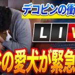 🔴🔴🔴【ライブ12月06日】大谷翔平の愛犬が緊急搬送！「妻に抱えられて」目撃されたデコピンの衝撃の容態が! 那覇空港での衝撃の一幕に全米が震撼!ロバーツ監督の21年ぶり沖縄帰郷に秘められた!