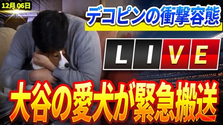 🔴🔴🔴【ライブ12月06日】大谷翔平の愛犬が緊急搬送！「妻に抱えられて」目撃されたデコピンの衝撃の容態が! 那覇空港での衝撃の一幕に全米が震撼!ロバーツ監督の21年ぶり沖縄帰郷に秘められた!