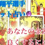 タロット占い🔮大谷翔平選手12月16日現状✨｛個人鑑定級｝あなたのお仕事運　金運を良くするには‼️