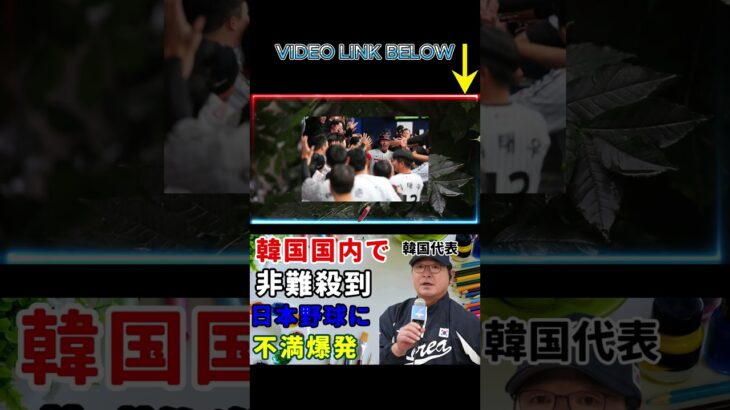 プレミア12で日本に敗れた韓国、国内で炎上中…「本当は勝ったのに…」韓国野球ファン、日本野球に対する本音に絶句…#shortsfeed #shortsviral