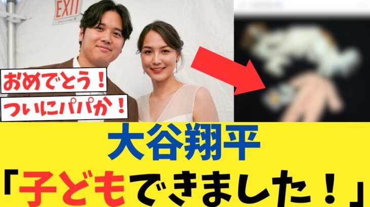 大谷翔平、真美子夫人が第１子妊娠を公表！！！！！！【2chスレ】【5chスレ】【なんｊ反応】