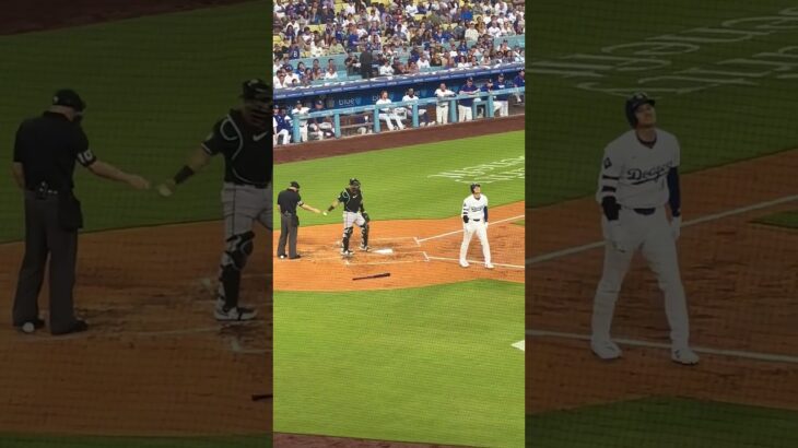 Did Shohei Ohtani yell “snake”? 😂 #baseball #mlb #dodgers