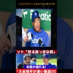 速報】フリードマンの大胆予測にソト激怒！大谷翔平が明かした真実とは？全米が驚愕したその理由  JP 日本のホームラン数