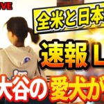 🔴🔴【LIVE12月05日】大谷の愛犬デコピンが病院に緊急搬送！「妻に抱えられて」目撃されたデコピンの衝撃の容態が! ロバーツ監督、那覇空港に笑顔で到着　21年ぶり沖縄に帰郷　那覇市きょう栄誉賞授与へ