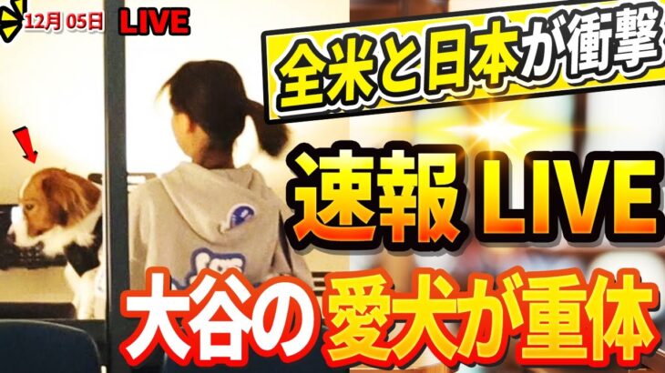 🔴🔴【LIVE12月05日】大谷の愛犬デコピンが病院に緊急搬送！「妻に抱えられて」目撃されたデコピンの衝撃の容態が! ロバーツ監督、那覇空港に笑顔で到着　21年ぶり沖縄に帰郷　那覇市きょう栄誉賞授与へ