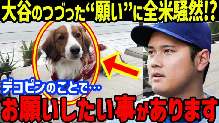 大谷翔平が愛犬デコピンについて“ある願い”綴った言葉に世界が騒然…真美子夫人も訪問の有名寿司レストランで食事も【海外の反応/MLB】