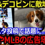 まさか敵地ボストンで大谷&デコピンに騒然！「MLBの広告塔だよ」全米を虜にするデコピンの出現にボストンファンを魅了【最新/MLB/大谷翔平/山本由伸】