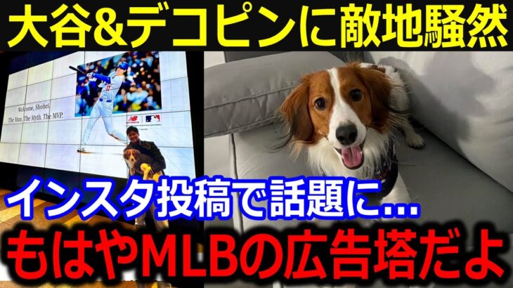 まさか敵地ボストンで大谷&デコピンに騒然！「MLBの広告塔だよ」全米を虜にするデコピンの出現にボストンファンを魅了【最新/MLB/大谷翔平/山本由伸】