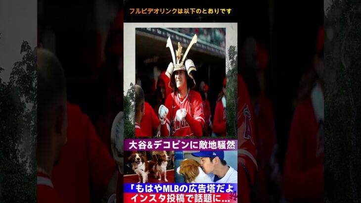 ボストンで衝撃！大谷翔平と“デコピン”が魅了した夜「MLBの未来がここに！」ファン熱狂の舞台裏とは？【MLB話題】  Samrual Swing