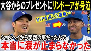 【大谷翔平】MVPを逃したリンドーアに受賞した大谷からのサプライズプレゼント「ショウヘイが俺に言ってくれたんだ」MVPを競い合ったライバルの感動秘話！大谷の神対応がヤバい【海外の反応/MLB/野球】