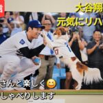 【ライブ配信】大谷翔平選手は元気にリハビリ中❓ファンの皆さんと楽しく😆気ままにおしゃべりします💫Shinsuke Handyman がライブ配信中！