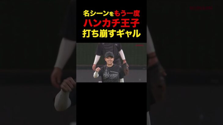 【感動】斎藤佑樹を打ち崩すギャル                                  【Shohei Ohtani HR】ドジャース　ホームラン #shoheiohtani #海外の反応