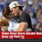 Shohei Ohtani Shares Adorable Moment with Pup Decoy and Plush Toy