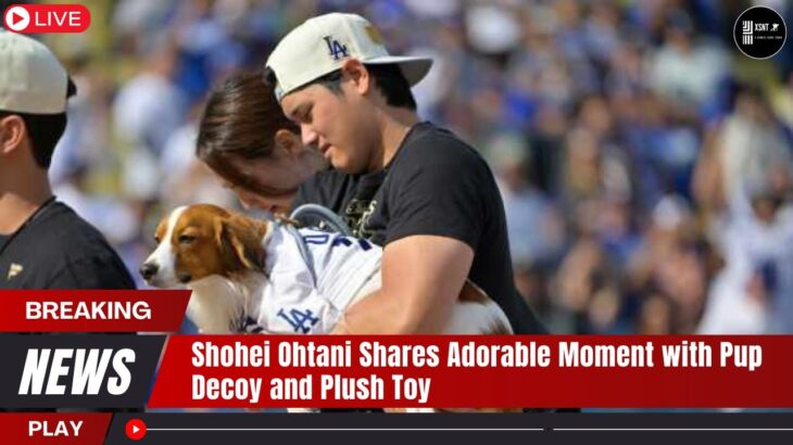 Shohei Ohtani Shares Adorable Moment with Pup Decoy and Plush Toy