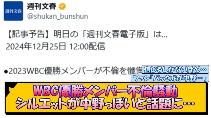 WBC優勝メンバー不倫騒動 シルエットが中野っぽいと話題に…【なんJ/2ch/5ch/ネット 反応 まとめ/阪神タイガース/藤川球児】