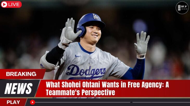 What Shohei Ohtani Wants in Free Agency: A Teammate’s Perspective