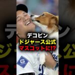 デコピンがドジャース公式マスコットに!? #大谷翔平 #大谷 #ドジャース #メジャーリーグ #メジャー #デコピン #プロ野球 #野球 #mlb #mvp #wbc #侍ジャパン