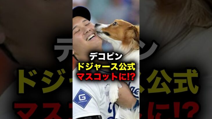 デコピンがドジャース公式マスコットに!? #大谷翔平 #大谷 #ドジャース #メジャーリーグ #メジャー #デコピン #プロ野球 #野球 #mlb #mvp #wbc #侍ジャパン