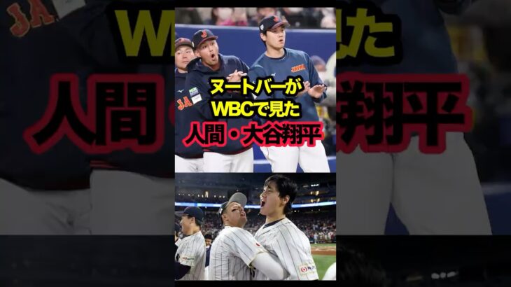 ヌートバーが語った「人間・大谷翔平」#ヌートバー  #ohtani #shoheiohtani#ohtanishohei #shorts #wbc #大谷 #大谷翔平 #海外の反応