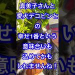 大谷翔平が選ぶ今年の漢字が驚き！その理由は、、グータッチツッコミも超かわ真美子さんデコピンちゃん💕　#shoheiohtani  #大谷翔平 #ドジャース