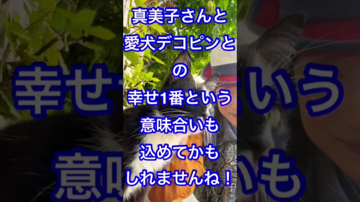 大谷翔平が選ぶ今年の漢字が驚き！その理由は、、グータッチツッコミも超かわ真美子さんデコピンちゃん💕　#shoheiohtani  #大谷翔平 #ドジャース