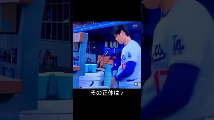 その正体は？ #shoheiohtani 様 #大谷翔平 様