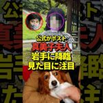 ※画像あり 大谷翔平と真美子夫人とデコピンが岩手県で目撃されるも様子がおかしいと話題に！#shorts #大谷翔平 #野球