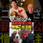 🐶大谷翔平とデコピンの最新画像！真美子さんの妊娠を祝福する松久シェフの投稿が話題に！#shorts #大谷翔平 #野球