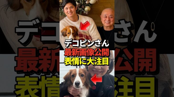 🐶大谷翔平とデコピンの最新画像！真美子さんの妊娠を祝福する松久シェフの投稿が話題に！#shorts #大谷翔平 #野球