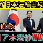 韓国が日本に輸出規制を課す！？結果：自滅ｗｗｗ韓国はバカで惨めｗｗｗ【ゆっくり解説】….