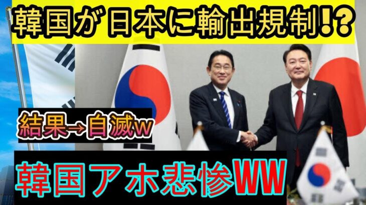 韓国が日本に輸出規制を課す！？結果：自滅ｗｗｗ韓国はバカで惨めｗｗｗ【ゆっくり解説】….