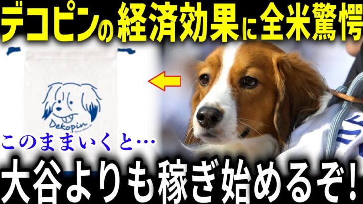 大谷翔平だけじゃない…デコピンがもたらす衝撃の“経済効果”に全米驚愕!!「愛犬までもすごいのか・・・」全米が驚いたデコピンの経済効果とは？【大谷翔平/海外の反応/デコピン/真美子/家族】