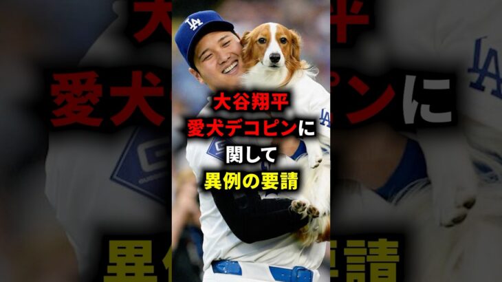 大谷翔平が愛犬デコピンに関して異例の要請 #野球 #海外の反応 #プロ野球 #大谷翔平 #デコピン