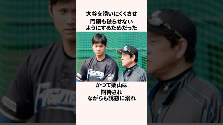 「夜の街に誘惑された」大谷翔平に関する雑学 #プロ野球 #野球解説  #日ハム