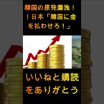 韓国の原発漏れ!! 日本「韓国に賠償させろ！」韓国ってバカだなw【ゆっくり解説】… 1