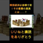 【絶望】韓国経済が崩壊寸前！日本が突如発表した衝撃の真実とは？！【ゆっくり解説】 1