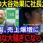 「大谷選手のおかげです！」大谷効果で売上爆益を達成した伊藤園社長が感謝！全編英語のCMも全米で話題！【最新/MLB/大谷翔平/山本由伸】