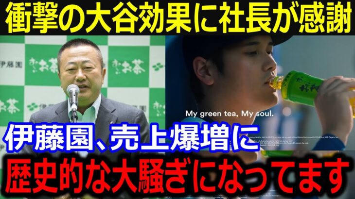 「大谷選手のおかげです！」大谷効果で売上爆益を達成した伊藤園社長が感謝！全編英語のCMも全米で話題！【最新/MLB/大谷翔平/山本由伸】