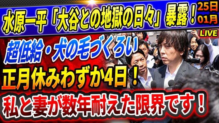 🔴🔴【速報LIVE】被告人の水原一平は減刑を懇願しています！過酷だった“翔平の隣”「超低給・犬のブラッシング・..」「期休暇は年末年始の4日」！これが私と妻が数年間耐えてきた限界です！！