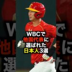 WBCで他国代表に選ばれた日本人3選 #野球 #wbc #野球解説