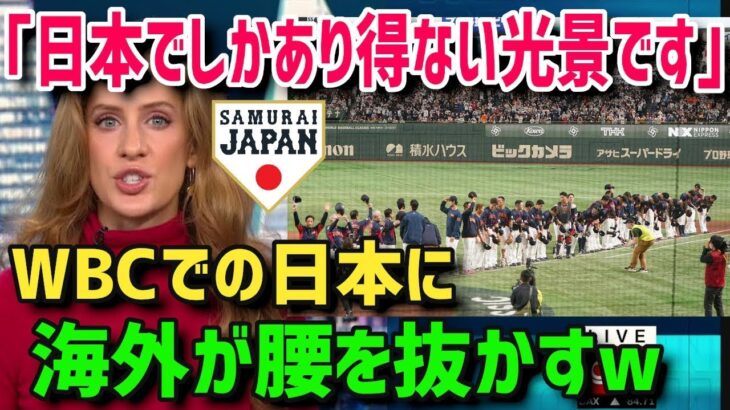 【海外の反応】世界のメディアが報道！WBC日本人ファンが見せた対応に海外が絶賛！「日本でしかあり得ない光景」とは？【大谷翔平】【グレートJAPANちゃんねる】