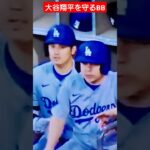 【大谷翔平を守るボールボーイ】強烈なファールボールから大谷翔平選手を守った英雄です#baseball #大谷翔平#ボールボーイ#メジャー