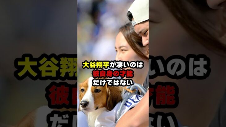 大谷翔平と真美子夫人が描く新時代のヒーロー像#プロ野球 #野球 #大谷翔平 #ドジャース #mlb