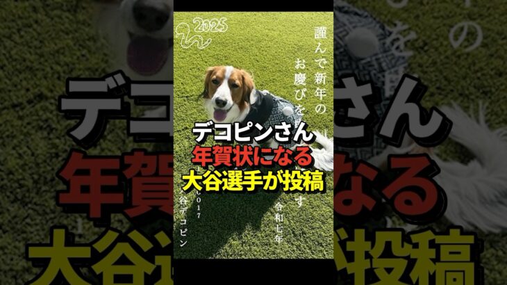 🐶大谷翔平選手が愛犬デコピンの年賀状を投稿したと話題に！#shorts #大谷翔平 #野球