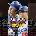 ※映像あり 大谷翔平選手と一塁コーチのヘッドバンプセレブレーションが来季も継続しそうだと話題に！#shorts #大谷翔平 #野球