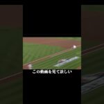 イチロー 日本が誇るスーパースター。どんなピンチも切り抜ける技術は一級品 #プロ野球 #野球 #イチロー